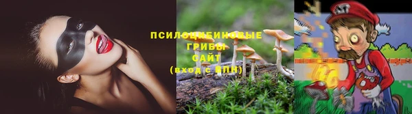 каннабис Белокуриха