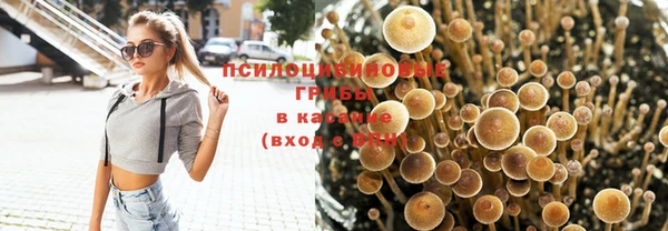 каннабис Белокуриха